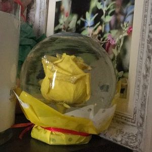 roses in a sphere 🌹